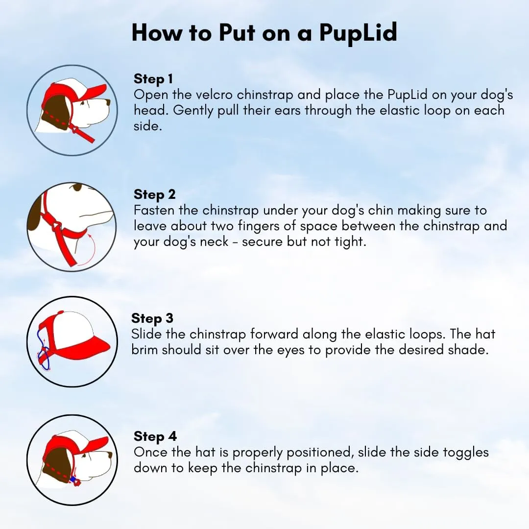 PupLid Trucker Hats for Humans Stylish Sun Protection Human Hat to Match and Twin with Your Dog (Blue Island Sunset)