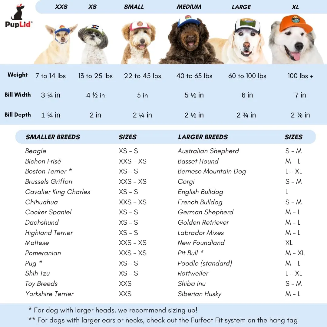 PupLid Trucker Hats for Humans Stylish Sun Protection Human Hat to Match and Twin with Your Dog (Blue Island Sunset)