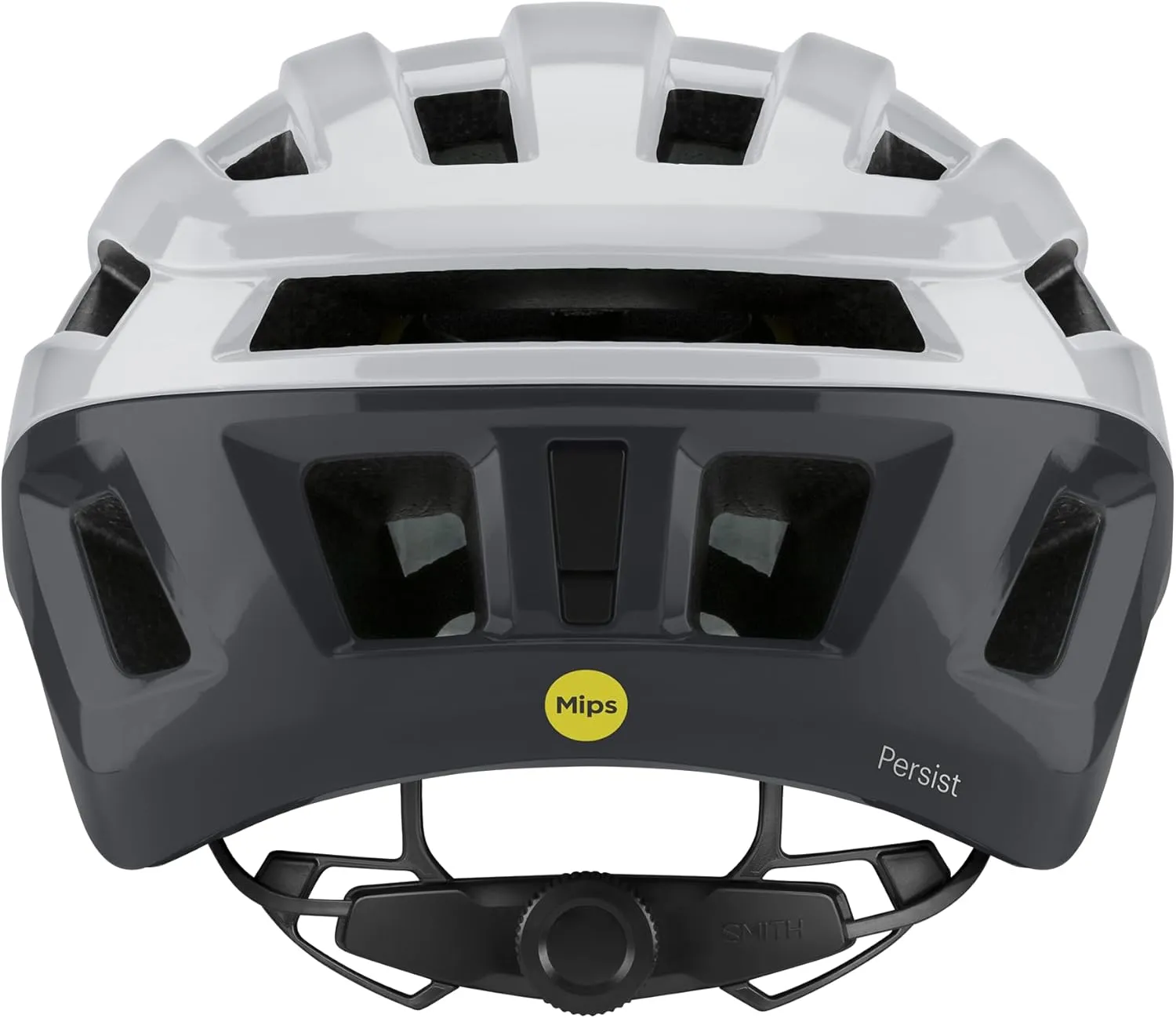 Smith Persist MIPS