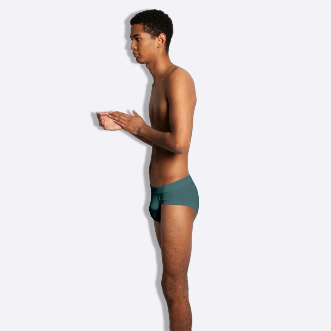 The Dragonfly Fall Briefs