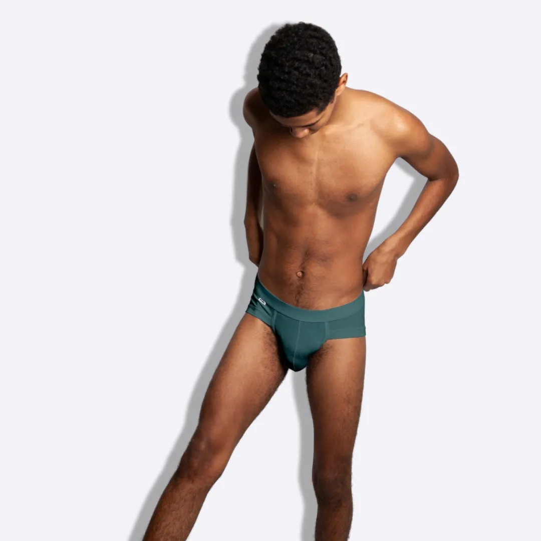 The Dragonfly Fall Briefs