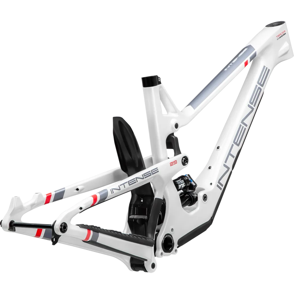 TRACER 29 Frame