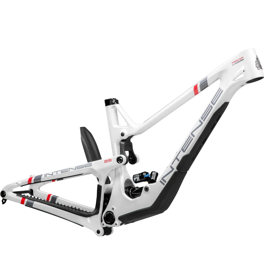 TRACER 29 Frame