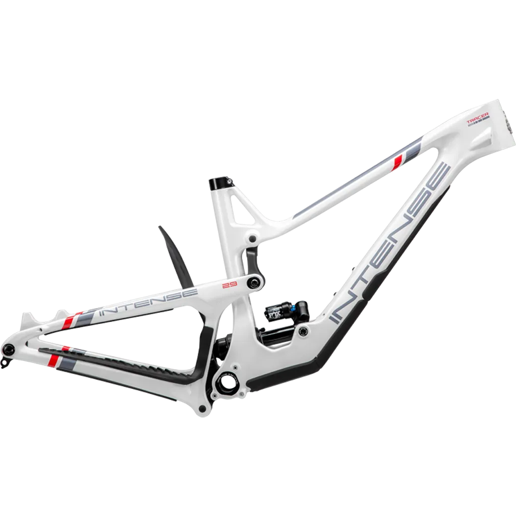 TRACER 29 Frame